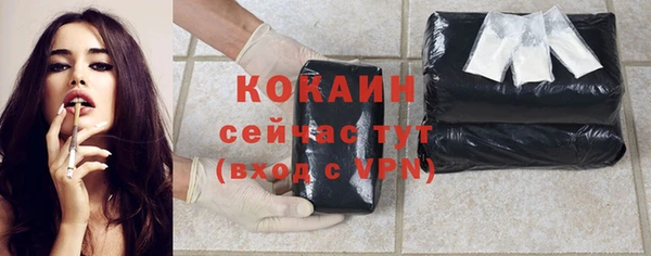 крисы Пересвет