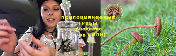 крисы Пересвет