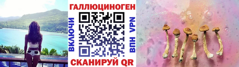 мега ссылки  Новоржев  Псилоцибиновые грибы прущие грибы 